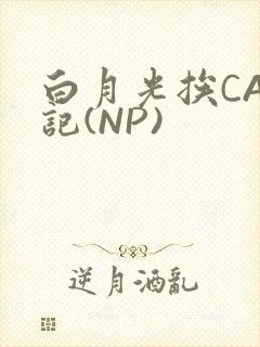 白月光挨CAO记(NP)