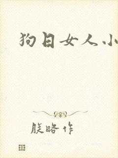 狗日女人小说
