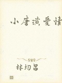 小唐璜爱情历史