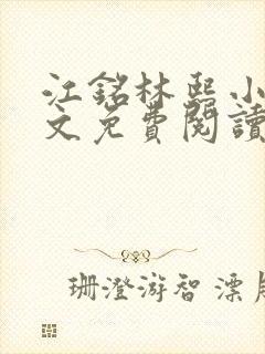 江铭林熙小说全文免费阅读