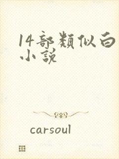 14部类似白洁小说