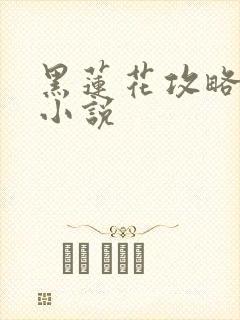 黑莲花攻略手册小说