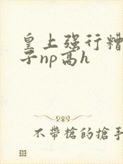 皇上强行糟蹋太子np高h