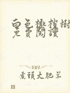 白色橄榄树全文免费阅读