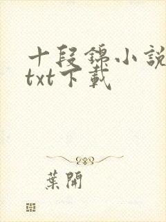 十段锦小说全本txt下载