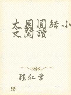 大团圆结小茹全文阅读封面