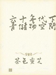 六十年代下乡知青储物空间