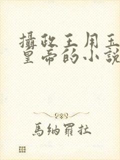 摄政王用玉髓整皇帝的小说