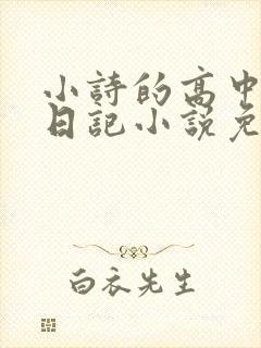 小诗的高中成长日记小说免费阅读