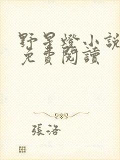 野星灯小说全文免费阅读