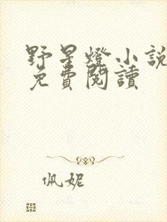 野星灯小说全文免费阅读