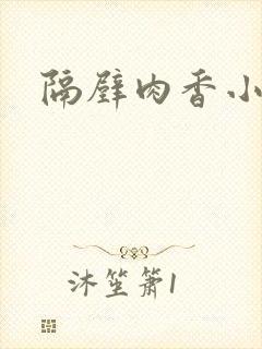 隔壁肉香小说