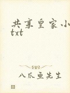 共享皇家小公主txt封面