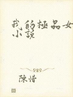 我的极品女老师小说