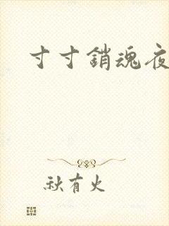 寸寸销魂夜春光