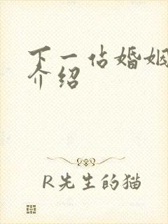 下一站婚姻剧情介绍