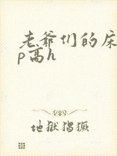 老爷们的床奴np高h