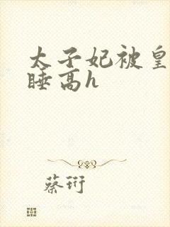 太子妃被皇上强睡高h