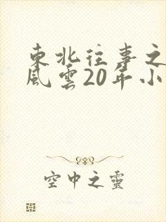 东北往事之黑道风云20年小说