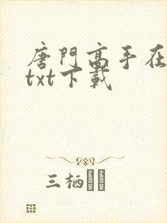 唐门高手在异世txt下载