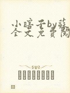 小瞎子by苏软全文免费阅读