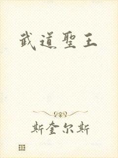 武道圣王