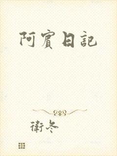 阿宾日记封面