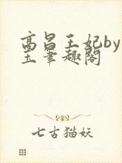 高昌王妃by黛玉笔趣阁