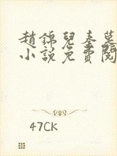 赵锦儿秦慕修的小说免费阅读全文封面