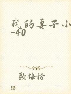 我的妻子小谨1-40