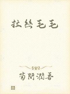 拉丝毛毛