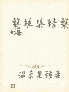 系统集精系统高嗨