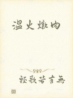 温火炖肉