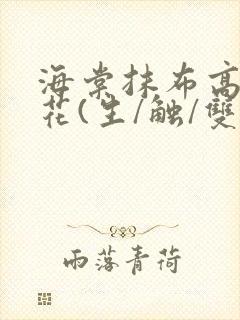 海棠抹布高岭之花(生/触/双)