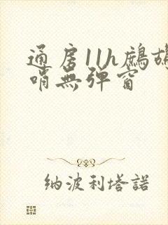 通房11h鹧鸪哨无弹窗