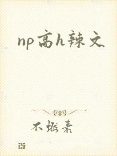 np高h辣文