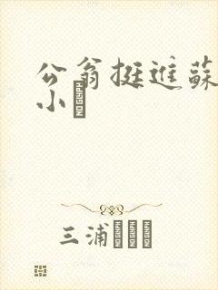 公翁挺进苏玥的小泬