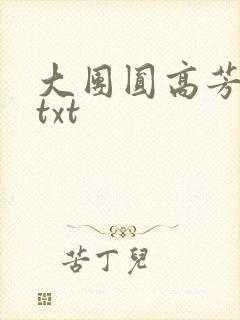 大团圆高芳小说txt