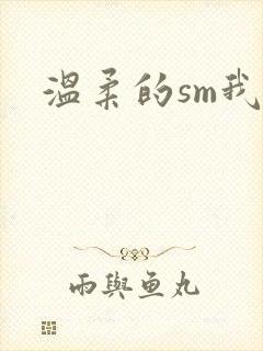 温柔的sm我