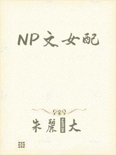 NP文女配