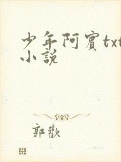 少年阿宾txt小说