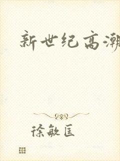 新世纪高潮战队