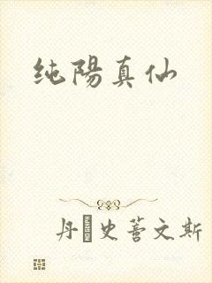 纯阳真仙