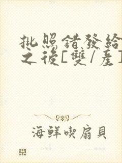 批照错发给情敌之后[双/产]