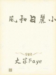 风和日丽小说