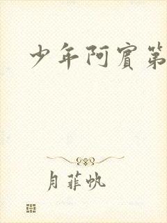 少年阿宾第二部