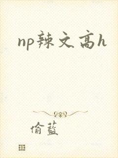 np辣文高h