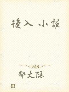 后入 小说
