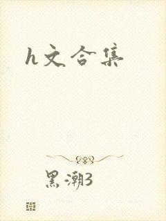 h文合集