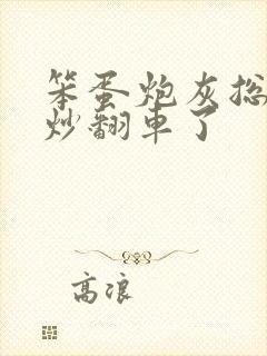 笨蛋炮灰总被爆炒翻车了